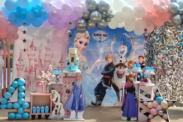 ELSA(FROZEN) KONSEPT
